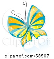 Poster, Art Print Of Beautiful Blue Orange And Yellow Fluttering Butterfly