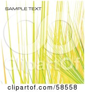 Yellow Watercolor Stroke Background With Sample Text - Version 2