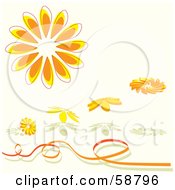 Poster, Art Print Of Orange Daisy Flower Objects With Shadows And A Ribbon
