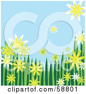 Poster, Art Print Of Border Of Yellow Green And White Flowers And Grass Against A Blue Sky