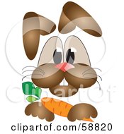 Poster, Art Print Of Brown Rabbit Resting His Paw On A Carrot