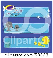 Poster, Art Print Of Digital Collage Of Three Ocean Banners With Fish And Dolphins