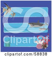 Poster, Art Print Of Digital Collage Of Three Ocean Banners With Fish Sharks And Corals