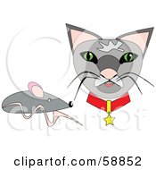 Poster, Art Print Of Gray Mouse By A Kitty Cat Face