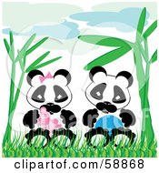 Baby Boy And Girl Pandas Sitting In Bamboo