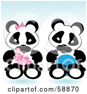 Poster, Art Print Of Baby Boy And Girl Pandas Sitting Side By Side