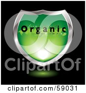 Poster, Art Print Of Green Organic Shield With Chrome Trim