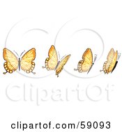 Poster, Art Print Of Group Of Orange Flying Butterflies