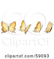 Royalty Free RF Clipart Illustration Of A Group Of Orange Flying Butterflies