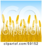 Poster, Art Print Of Background Of Golden Wheat Against A Pale Blue Sky