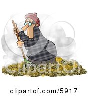 Man Raking Dead Leaves On The Ground During Autumn Season Clipart Picture