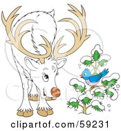 Poster, Art Print Of Friendly White Reindeer Talking To A Bluebird On A Flocked Tree