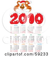 Poster, Art Print Of 2010 Year Tiger Calendar