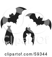 Poster, Art Print Of Digital Collage Of Four Black Bats