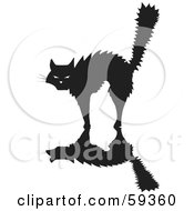 Scared Silhouetted Cat Arching Its Back