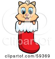 Poster, Art Print Of Cute Christmas Kitty Peeking Out Of A Stocking