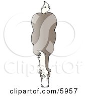 Top Of A Horse Clipart Picture