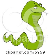 Venomous Green Snake Tasting The Air With Its Tongue Clipart Picture