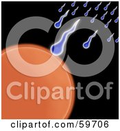 Royalty-Free (RF) Clipart Illustration of Blue Sperm Racing Towards An Orange Egg On Black  by oboy #COLLC59706-0118