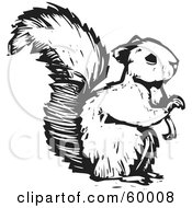 Royalty Free RF Clipart Illustration Of A Black And White Squirrel Holding One Paw Up