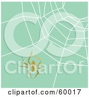 Poster, Art Print Of Brown Spider Hanging In Front Of A Spiderweb Over Green