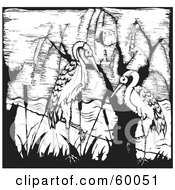Royalty Free RF Clipart Illustration Of Two Black And White Storks In Reeds by xunantunich