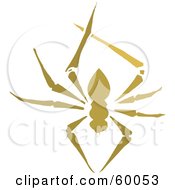 Poster, Art Print Of Brown Spider Hanging