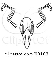 Royalty Free RF Clipart Illustration Of A Black And White Bird Skull And Wing Bones On White