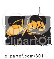 Royalty Free RF Clipart Illustration Of An Orange Ant On A Black Square