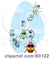 Poster, Art Print Of Four Colorful Beetles Over Blue And White