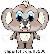 Adorable Blue Eyed Brown Koala