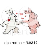 Amorous Rabbit Character Biting A Rose And Dancing With A Female