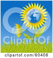 Poster, Art Print Of Growing Europe Sunflower Globe In Grass Against A Blue Sky
