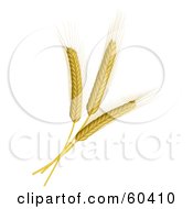Royalty Free RF Clipart Illustration Of Three Wheat Stalks by Oligo #COLLC60410-0124