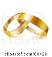 Two Shiny 3d Gold Wedding Rings Entwined