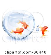 Royalty Free RF Clipart Illustration Of Sad Goldfish Parents Watching Their Young One Leave The Bowl by Oligo