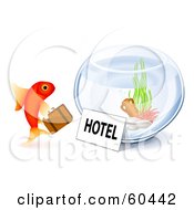 Poster, Art Print Of Goldfish Checking Into A Hotel Bowl