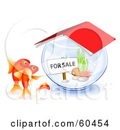 Goldfish Family Checking Out A Bowl For Sale