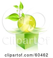 Poster, Art Print Of Plant Growing On A Green Globe Over An Open Box