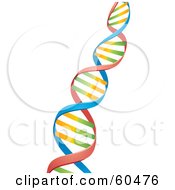 Royalty Free RF Clipart Illustration Of A Diagonal Colorful Strand Of DNA