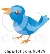 Poster, Art Print Of Little Blue Bird Tweeting