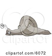 Mad Cartoon Snail Clipart Picture