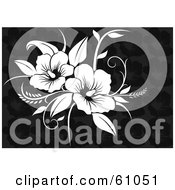 Royalty-free (RF) Clipart Illustration of a Blooming White Flower Design Over A Brown Patterned Background by pauloribau #COLLC61051-0129