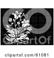 Royalty Free RF Clipart Illustration Of A White Plant With Flowers On A Dark Floral Background