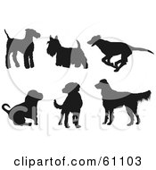 Poster, Art Print Of Digital Collage Of Six Dark Brown Dog Silhouettes Terriers Greyhound Hound Labrador Golden Retriever
