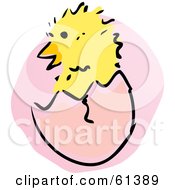 Poster, Art Print Of Fluffy Baby Chick Hatching From An Egg
