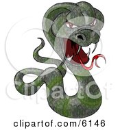 Green Cobra Snake Baring Its Fangs And Forked Tongue Clipart Picture by djart #COLLC6146-0006