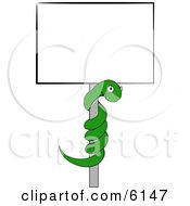 Green Snake Coiled On A Pole To A Blank Sign Clipart Picture