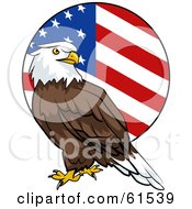 Poster, Art Print Of Bald Eagle In Front Of A Rounded American Flag