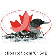 Swimming Loon In Front Of An Oval Canadian Flag
